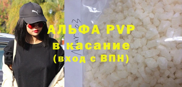 прущие грибы Переславль-Залесский