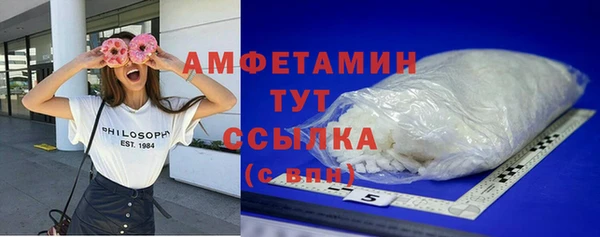 прущие грибы Переславль-Залесский