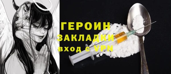 хмурый Пересвет
