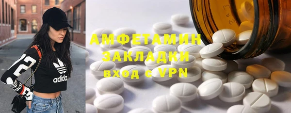 прущие грибы Переславль-Залесский