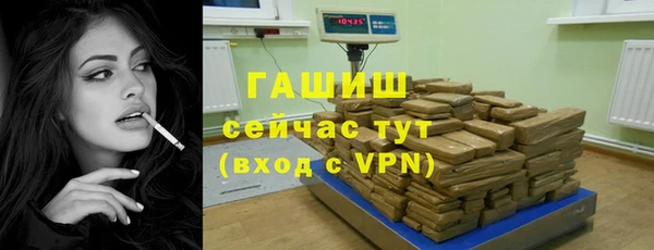 прущие грибы Переславль-Залесский