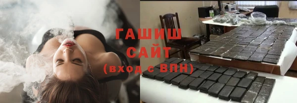 хмурый Пересвет