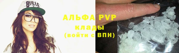 трава Осинники