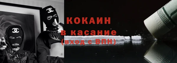 трава Осинники