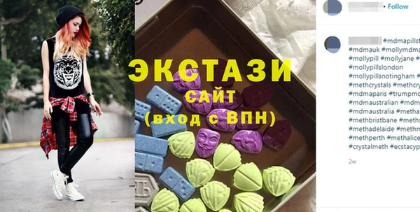 хмурый Пересвет