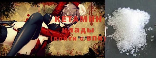 хмурый Пересвет