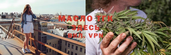 хмурый Пересвет