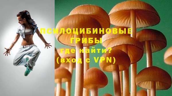 хмурый Пересвет