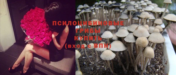 молекула духа Остров