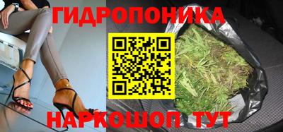 прущие грибы Волгодонск