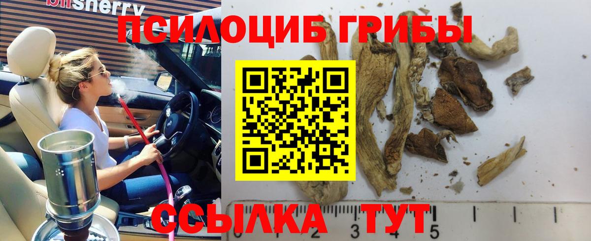 Псилоцибиновые грибы мухоморы Кемерово