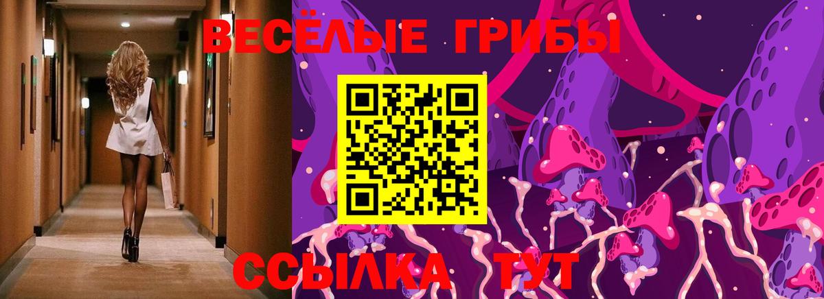 Псилоцибиновые грибы Cubensis Кемерово
