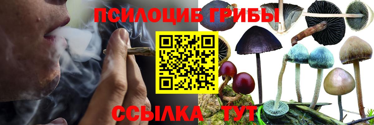 Кемерово  Галлюциногенные грибы Psilocybe  Вход с VPN 